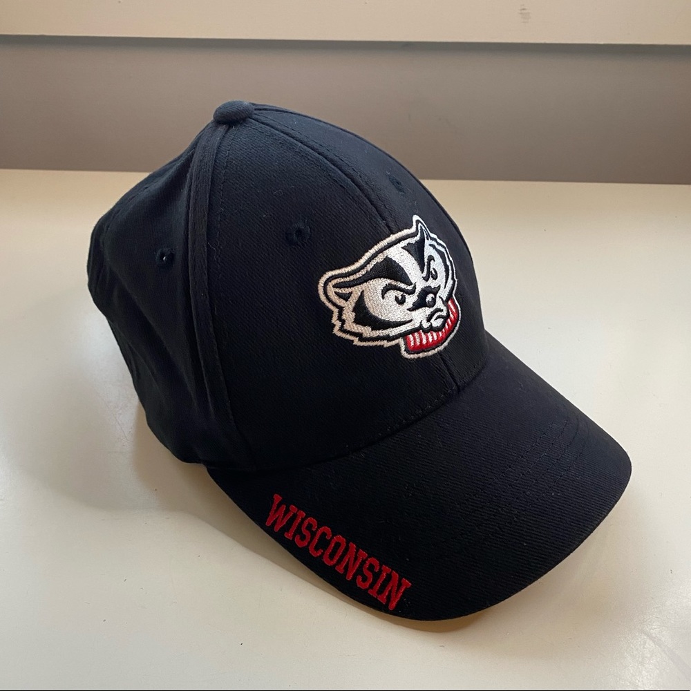Wisconsin Badgers Hat